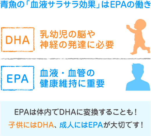 青魚の「血液サラサラ効果はEPAの働き」