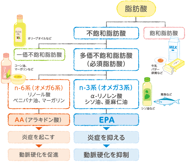 図：EPAとは