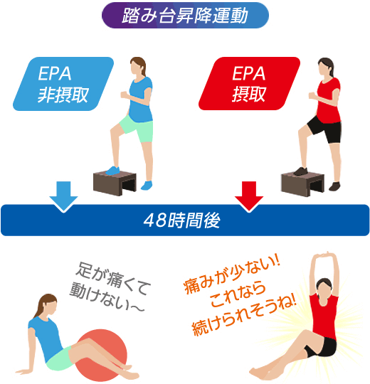 図：EPA接種時の踏み台昇降運動48時間後の回復