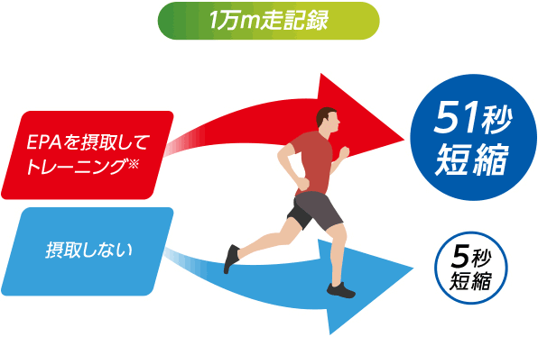 図：EPA摂取による運動効率の向上