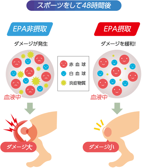 図：EPA接種時の運動48時間後のダメージの緩和